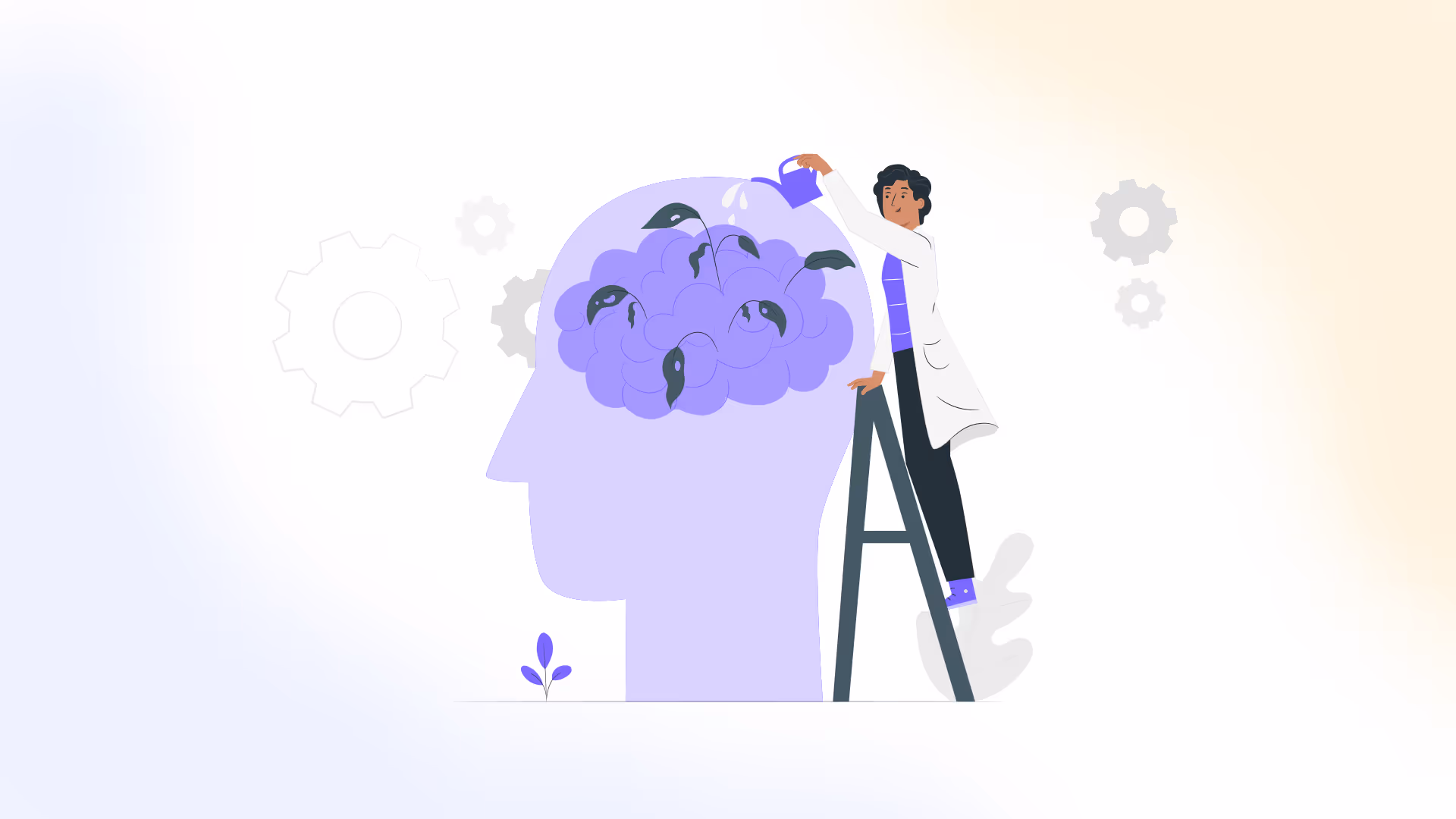 NP Student Guide to Mastering Psychiatric Care