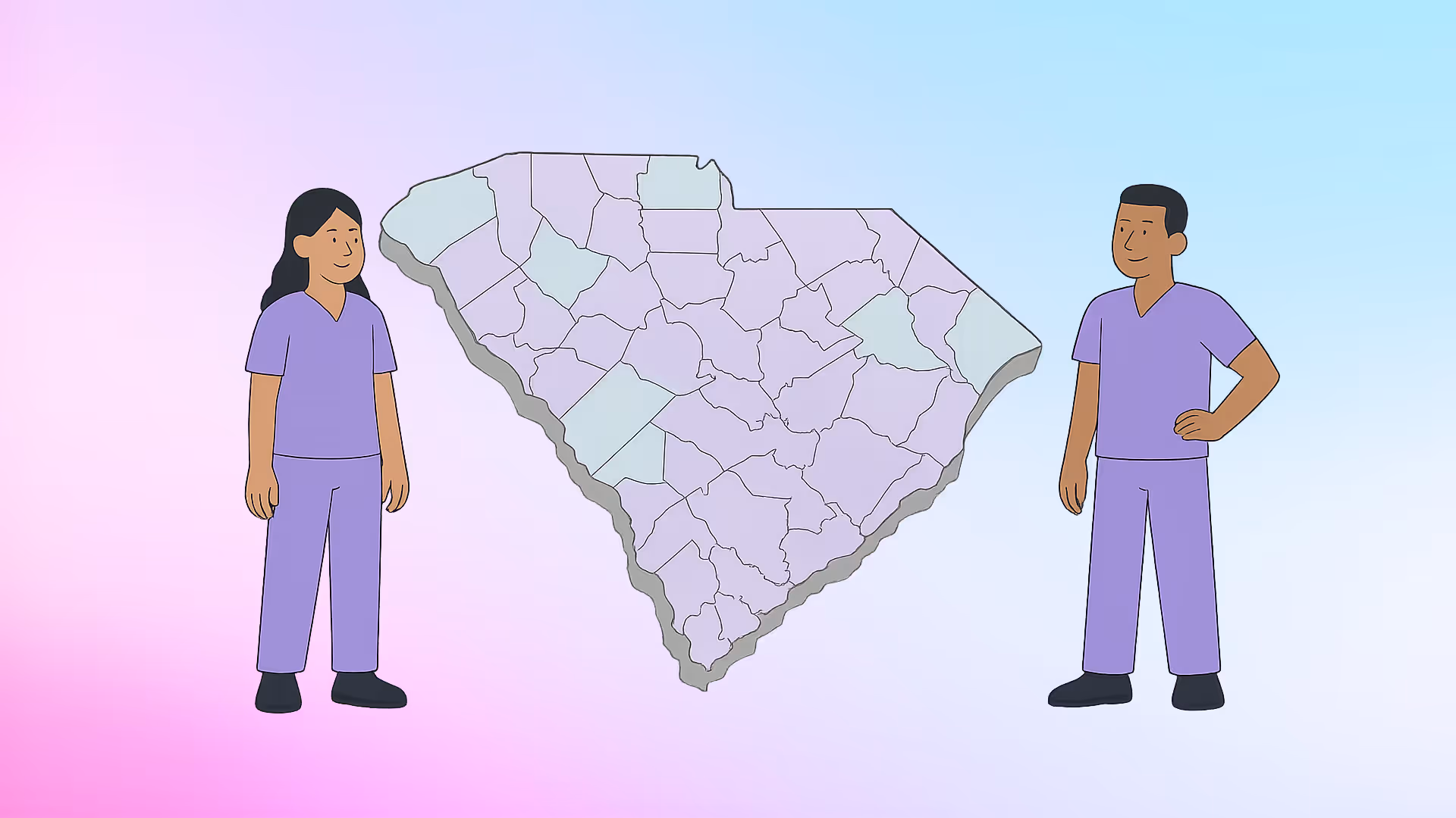 Understanding South Carolina Nurse Practitioners Clinical Placement And Preceptors